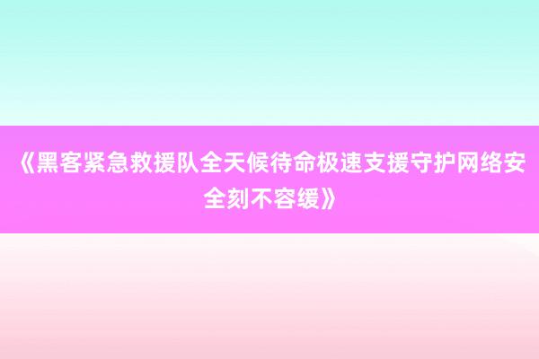 《黑客紧急救援队全天候待命极速支援守护网络安全刻不容缓》