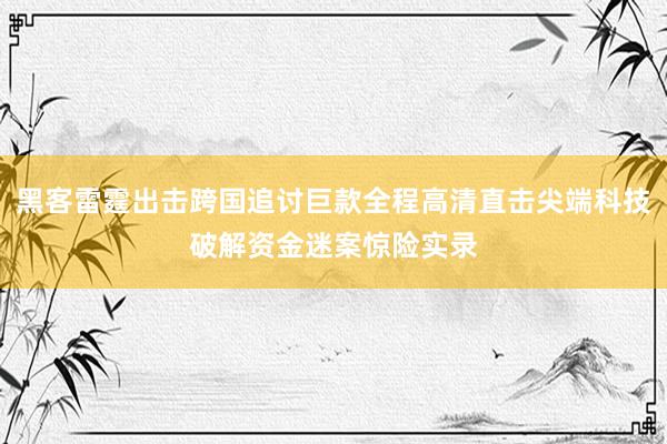 黑客雷霆出击跨国追讨巨款全程高清直击尖端科技破解资金迷案惊险实录